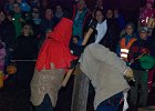 Foto (34) : Zimníček - 7.11.2015